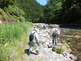 DSCF0805.JPG