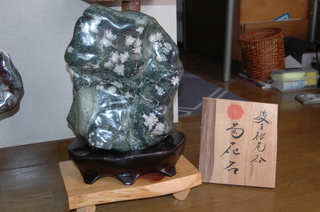 ICHI236.jpg